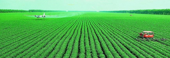 �Zʳ�Nֲ�½�����ҙz�y�Ŀ���x������