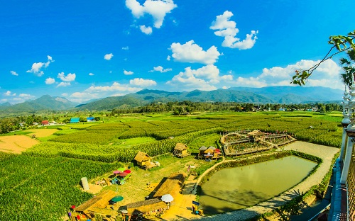 1655433272520371.png image.png