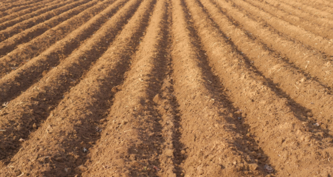 1680503939167835.png 土壤養(yǎng)分檢測儀的檢測原理