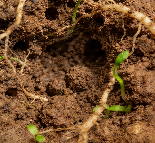 ����ˮ�ݜy���x�x���a(ch��n)���R�������}�A�����^ + ��̽�^�L�ȿɶ���